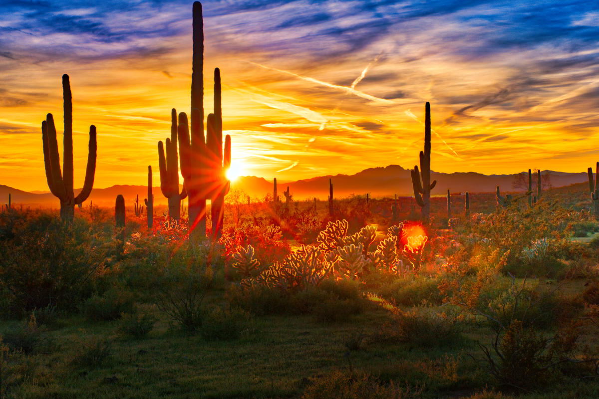 Discover the best places to watch the breathtaking sunsets in Phoenix.