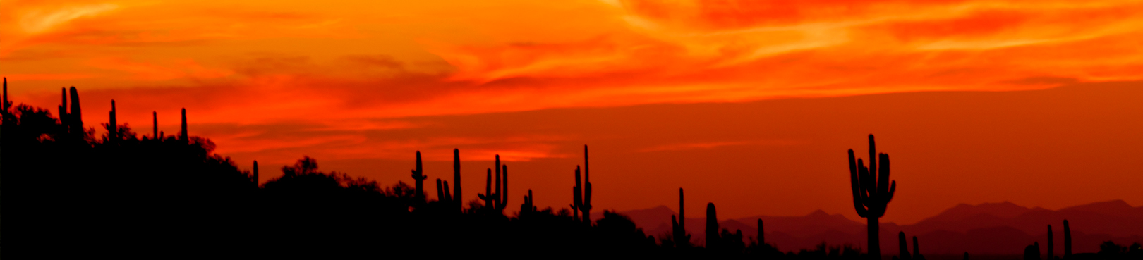 Enjoy a meal with a backdrop of Arizona's stunning state park sunsets.