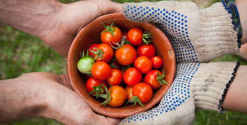 Discover fresh finds at the bustling Downtown PHX Farmers Market.